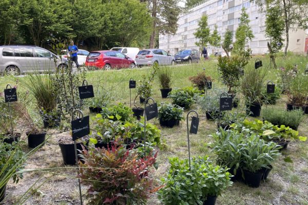 AmenagementPinSec-Atelier360-DuLieu 1