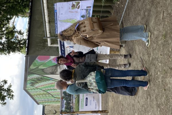AmenagementPinSec-Atelier360-DuLieu 2