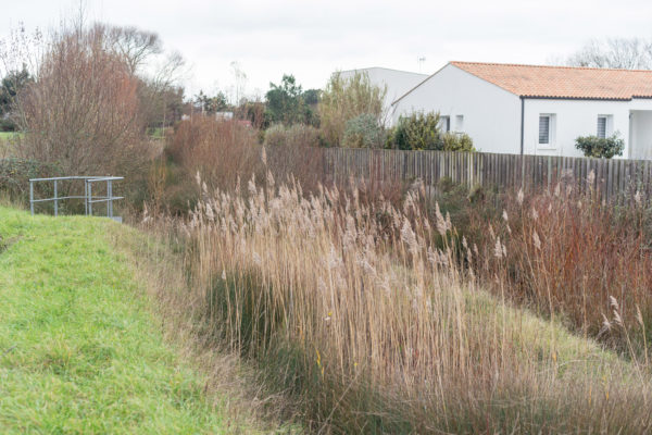 StJeanDeMontEauPluvialeAtelierDuLieu (1)